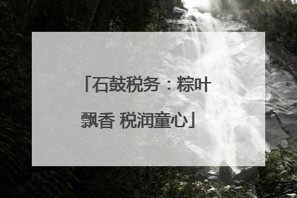 石鼓税务：粽叶飘香 税润童心