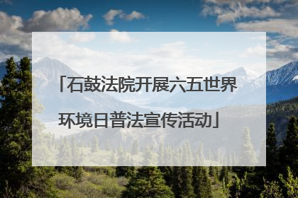 石鼓法院开展六五世界环境日普法宣传活动