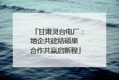 甘肃灵台电厂：地企共建结硕果 合作共赢启新程
