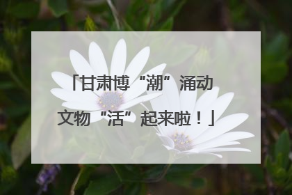 甘肃博“潮”涌动 文物“活”起来啦！