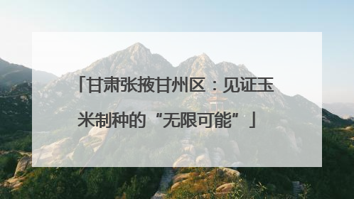 甘肃张掖甘州区：见证玉米制种的“无限可能”