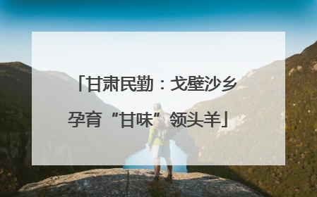 甘肃民勤：戈壁沙乡孕育“甘味”领头羊