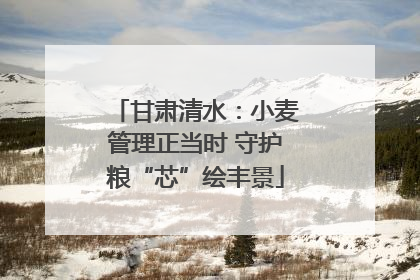 甘肃清水：小麦管理正当时 守护粮“芯”绘丰景