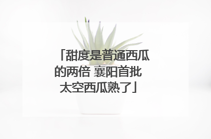甜度是普通西瓜的两倍 襄阳首批太空西瓜熟了