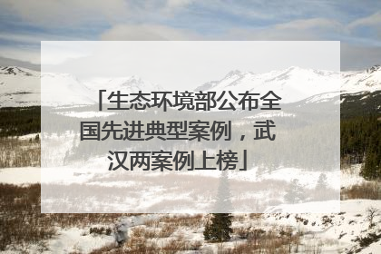 生态环境部公布全国先进典型案例，武汉两案例上榜