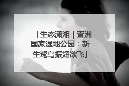生态潇湘｜萱洲国家湿地公园：新生鹭鸟振翅欲飞