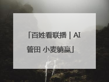 百姓看联播｜AI管田 小麦躺赢