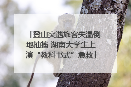 登山突遇旅客失温倒地抽搐 湖南大学生上演“教科书式”急救