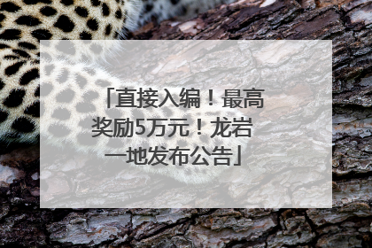 直接入编！最高奖励5万元！龙岩一地发布公告