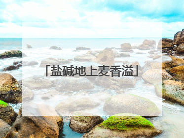 盐碱地上麦香溢