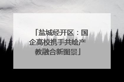 盐城经开区：国企高校携手共绘产教融合新图景