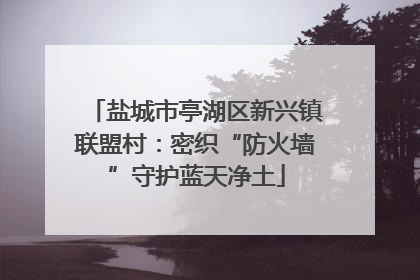 盐城市亭湖区新兴镇联盟村：密织“防火墙”守护蓝天净土