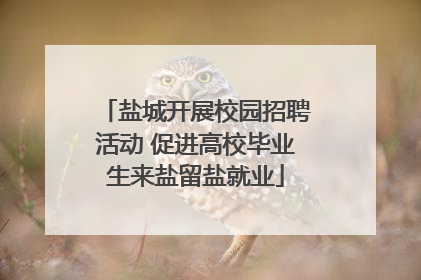 盐城开展校园招聘活动 促进高校毕业生来盐留盐就业