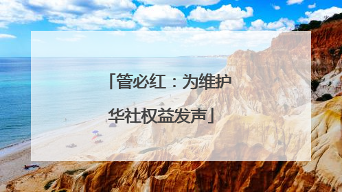 管必红：为维护华社权益发声