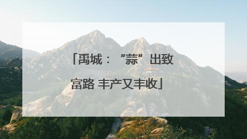 禹城：“蒜”出致富路 丰产又丰收