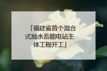 福建省首个混合式抽水蓄能电站主体工程开工