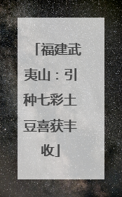 福建武夷山：引种七彩土豆喜获丰收