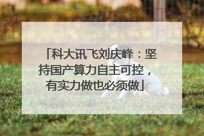 科大讯飞刘庆峰：坚持国产算力自主可控，有实力做也必须做
