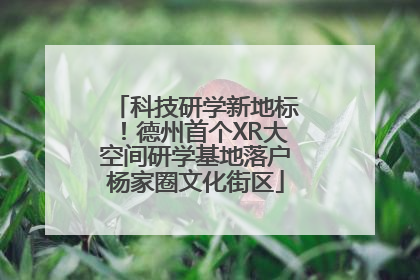 科技研学新地标！德州首个XR大空间研学基地落户杨家圈文化街区