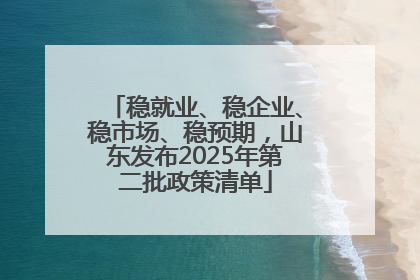 稳就业、稳企业、稳市场、稳预期，山东发布2025年第二批政策清单