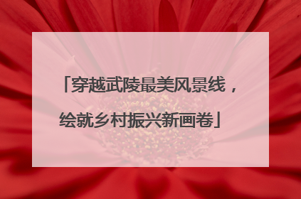穿越武陵最美风景线，绘就乡村振兴新画卷