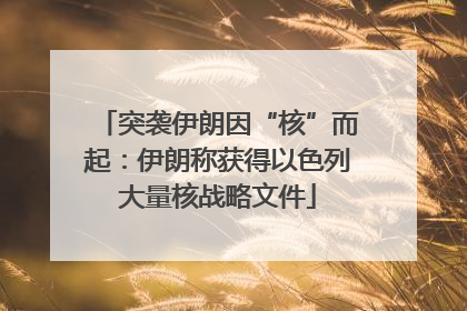 突袭伊朗因“核”而起：伊朗称获得以色列大量核战略文件