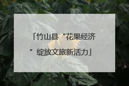 竹山县“花果经济”绽放文旅新活力