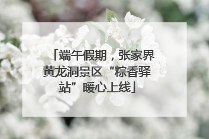端午假期，张家界黄龙洞景区“粽香驿站”暖心上线
