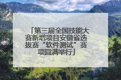 第三届全国技能大赛新增项目安徽省选拔赛“软件测试”赛项圆满举行