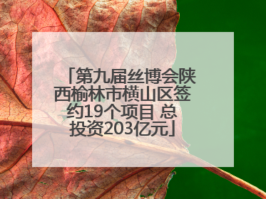 第九届丝博会陕西榆林市横山区签约19个项目 总投资203亿元