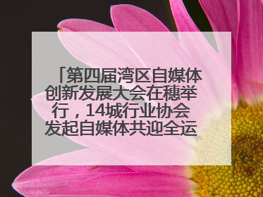 第四届湾区自媒体创新发展大会在穗举行，14城行业协会发起自媒体共迎全运会协同计划