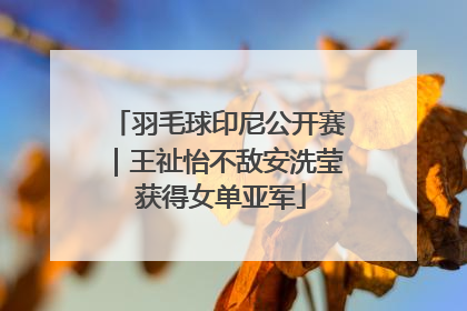 羽毛球印尼公开赛｜王祉怡不敌安洗莹 获得女单亚军