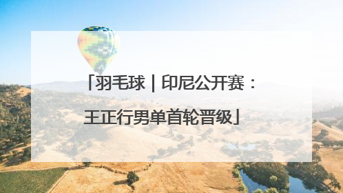 羽毛球｜印尼公开赛：王正行男单首轮晋级