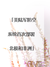 美陆军防空系统首次部署北极和非洲
