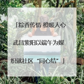 粽香传情 橙暖人心 武昌紫阳以端午为媒织就社区“同心结”