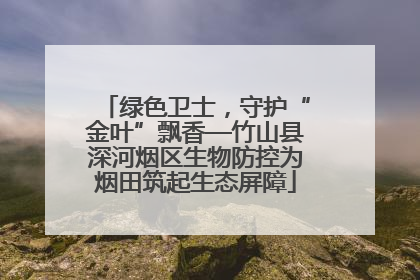 绿色卫士，守护“金叶”飘香—竹山县深河烟区生物防控为烟田筑起生态屏障