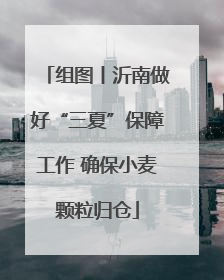 组图丨沂南做好“三夏”保障工作 确保小麦颗粒归仓