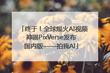 终于！全球爆火AI视频神器PixVerse发布国内版——拍我AI