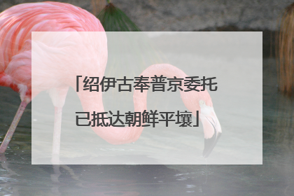 绍伊古奉普京委托已抵达朝鲜平壤