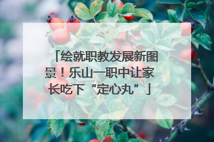 绘就职教发展新图景！乐山一职中让家长吃下“定心丸”