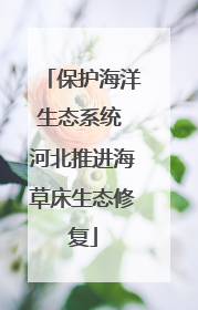 保护海洋生态系统 河北推进海草床生态修复
