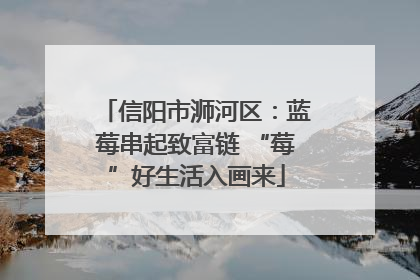 信阳市浉河区：蓝莓串起致富链 “莓”好生活入画来