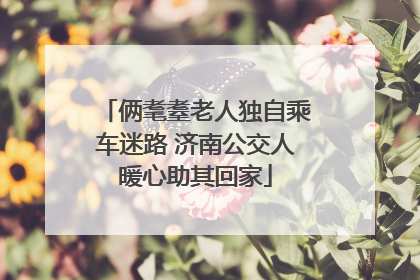 俩耄耋老人独自乘车迷路 济南公交人暖心助其回家