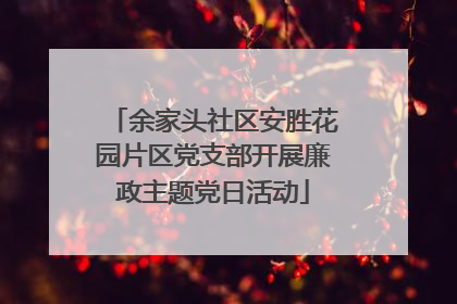 余家头社区安胜花园片区党支部开展廉政主题党日活动