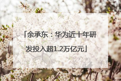 余承东：华为近十年研发投入超1.2万亿元