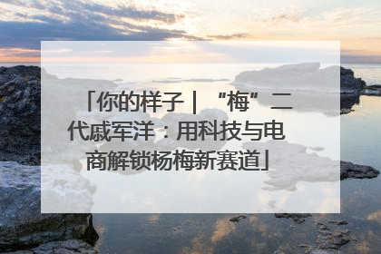 你的样子｜“梅”二代戚军洋：用科技与电商解锁杨梅新赛道