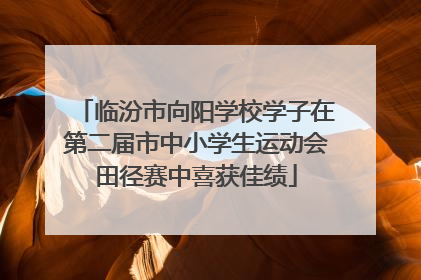 临汾市向阳学校学子在第二届市中小学生运动会田径赛中喜获佳绩