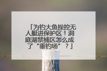 为钓大鱼操控无人艇进保护区！洞庭湖禁捕区怎么成了“垂钓场”？