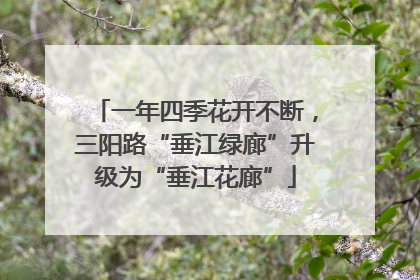 一年四季花开不断，三阳路“垂江绿廊”升级为“垂江花廊”