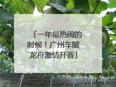 一年最热闹的时候！广州车陂龙舟激情开赛